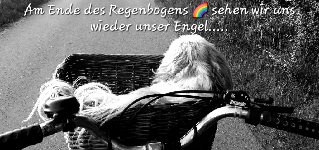 Andachtsbild von Thomas