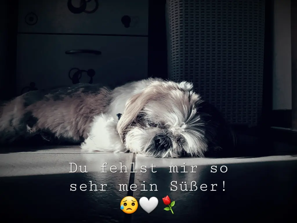 Andachtsbild von Christin