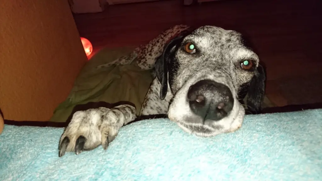 Condolence image of Unbekannt