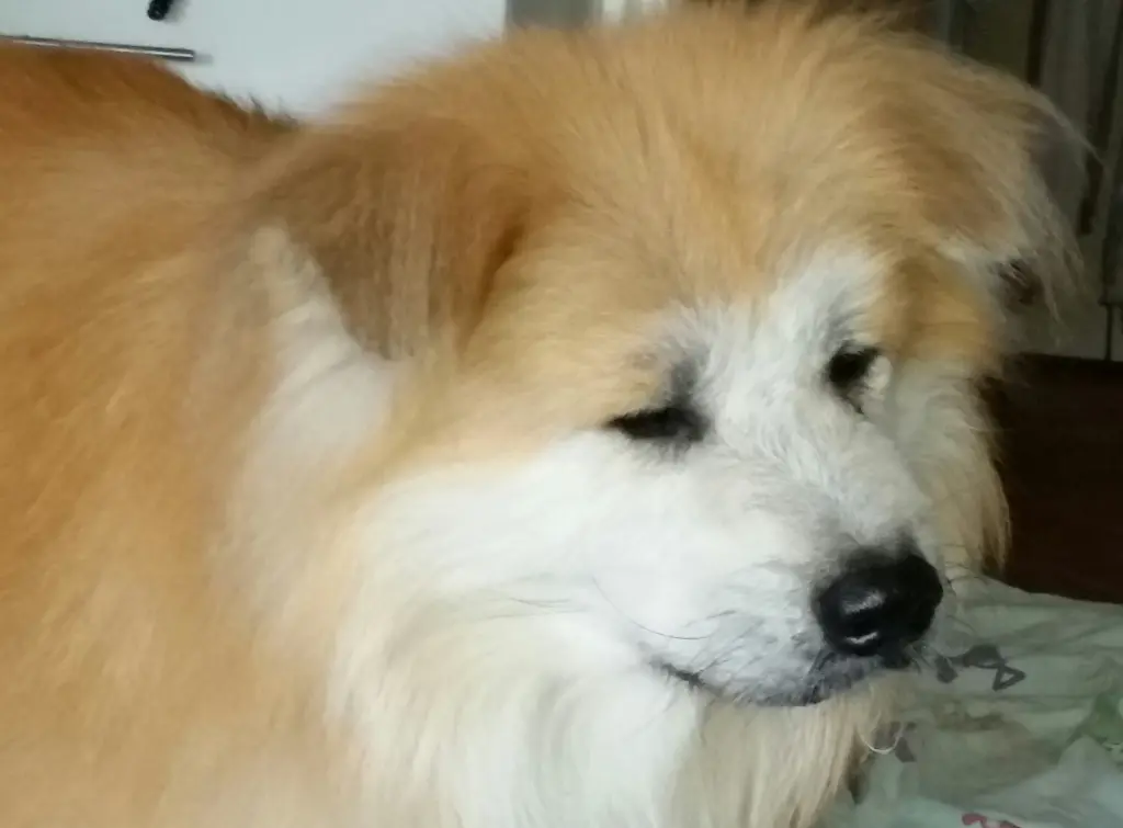 Condolence image of Tanja 