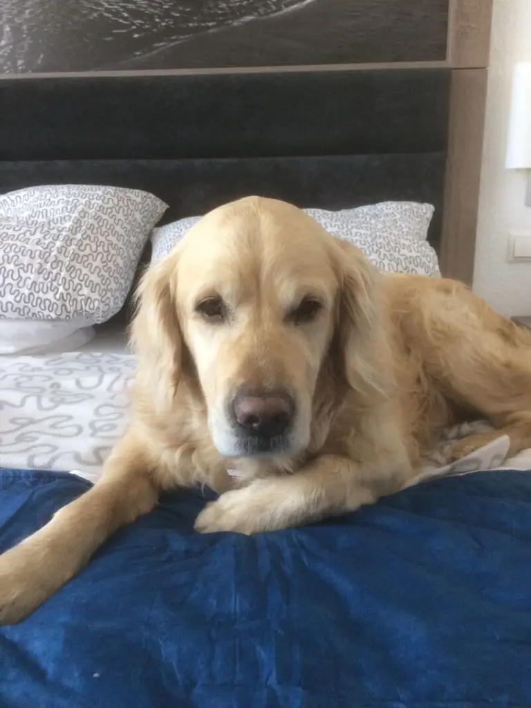 Andachtsbild von Andy und Piet ❤️