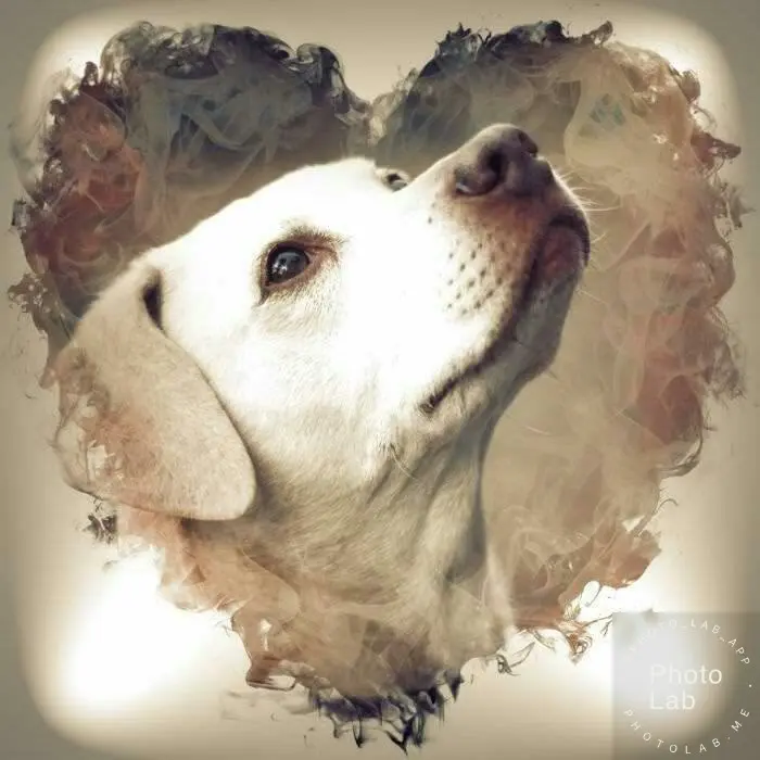 Condolence image of Unbekannt