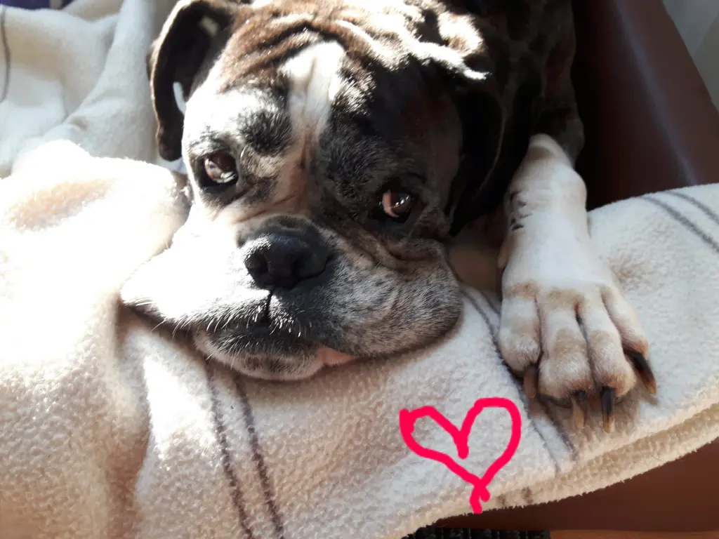 Condolence image of Barbara 