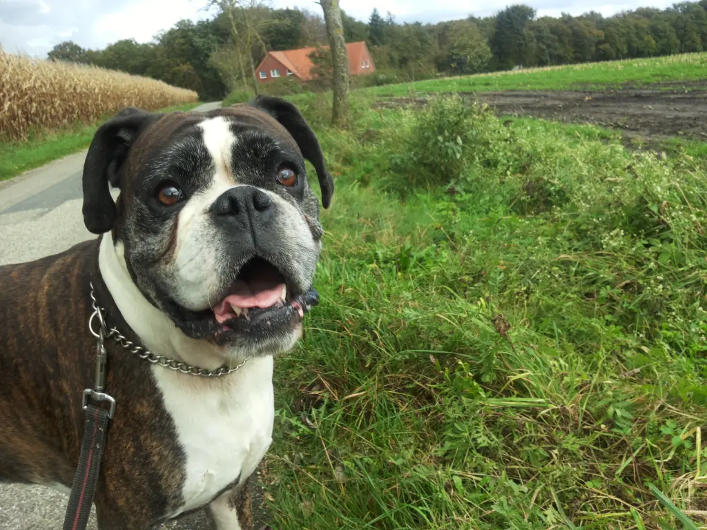 Condolence image of Barbara 