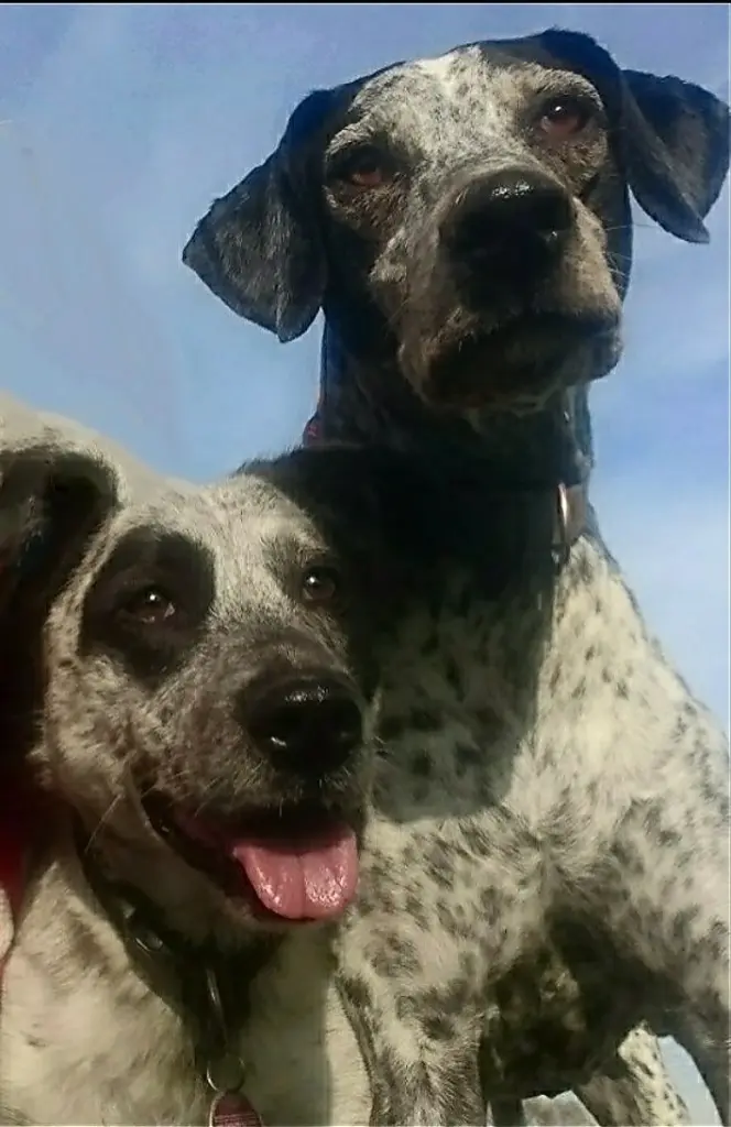 Condolence image of Ewa 