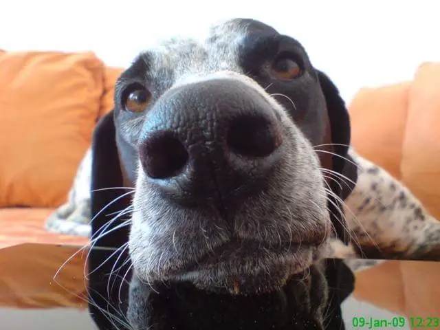 Condolence image of Ewa von Elo