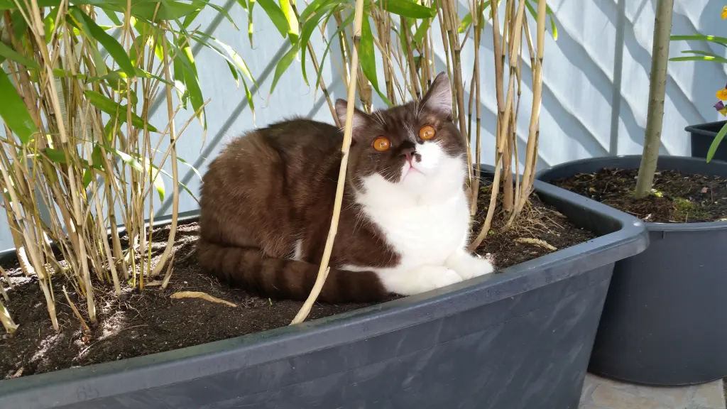 Condolence image of Andrea und Dirk 