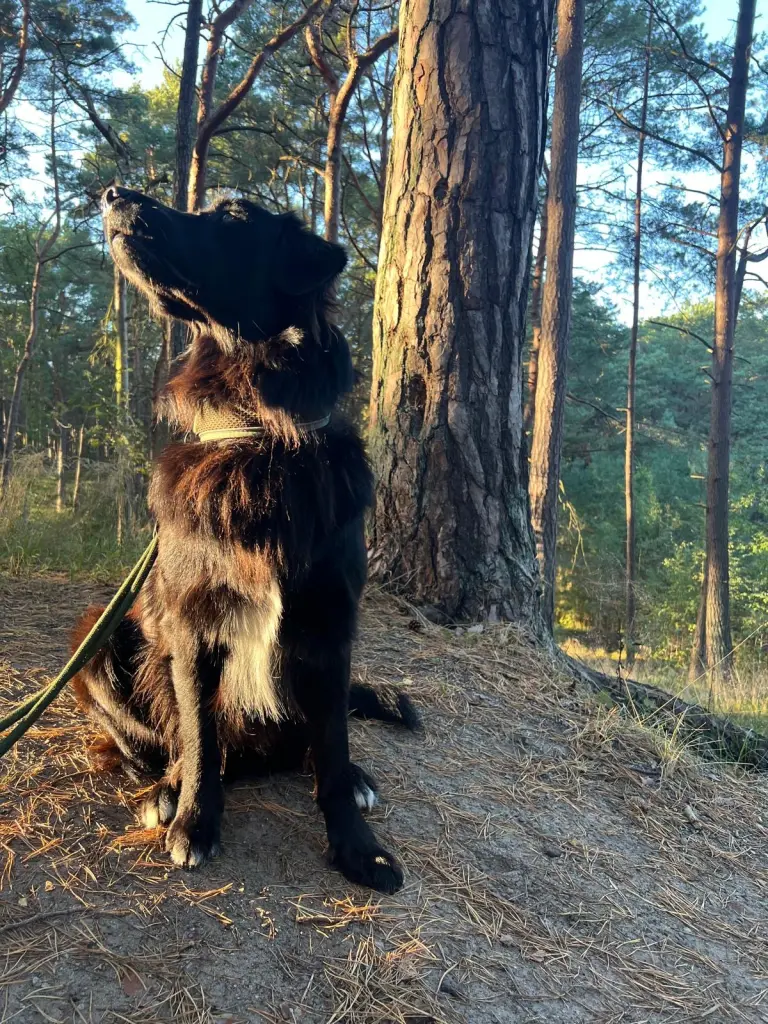 Andachtsbild von Lea Rahmel