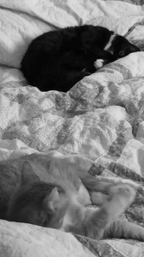 Condolence image of Sabrina 