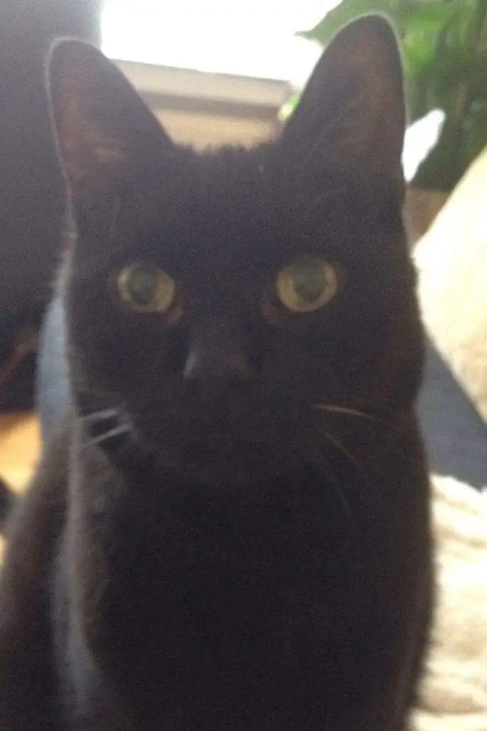 Condolence image of Unbekannt