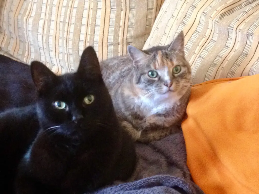 Condolence image of Daniela