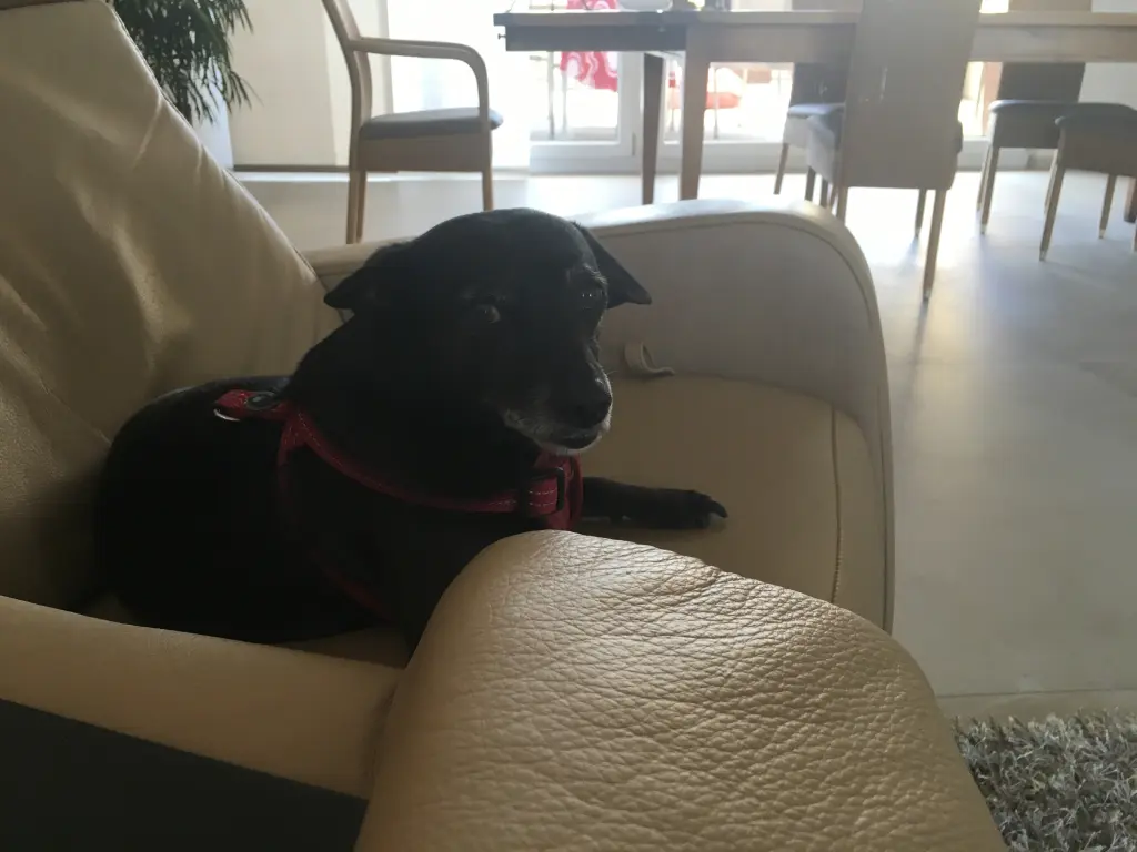 Condolence image of Alexandra mit Annicka im Herzen 