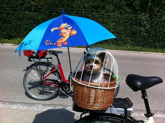 Condolence image of Beate mit Fritzi ganz tief im Herzen