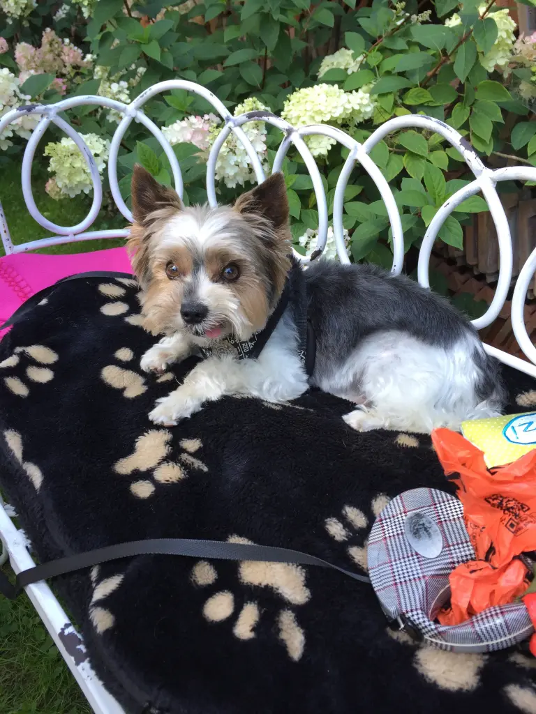 Condolence image of Beate