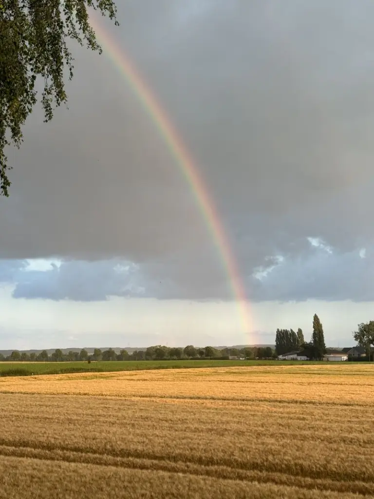 Andachtsbild von für Sammy