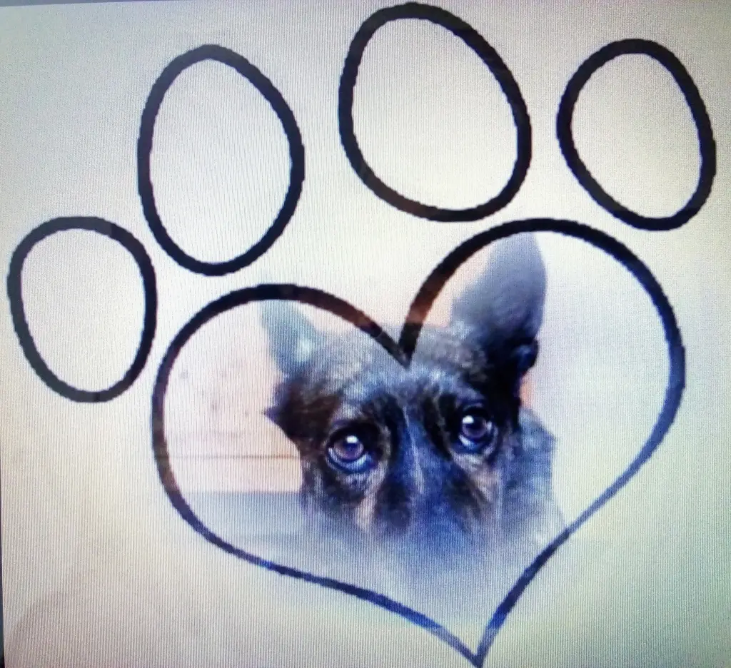 Condolence image of Melanie 