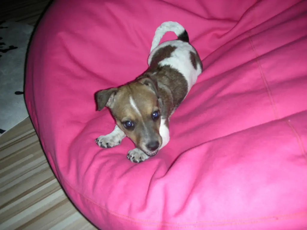 Condolence image of Yvonne mit Carlos im Herzen