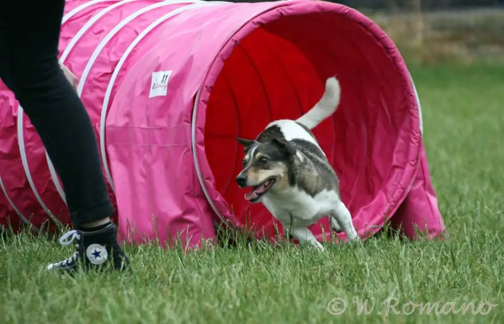 Condolence image of Yvonne mit Carlos im Herzen