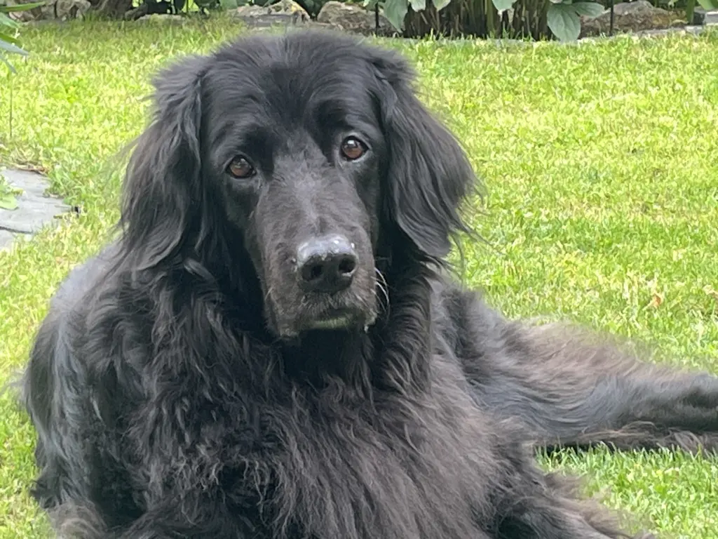 Bild von Barie