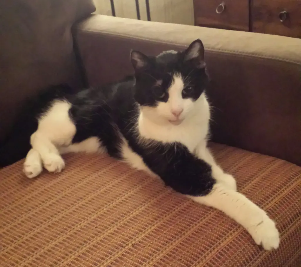 Condolence image of Ilse mit Fee und Minna im Herzen