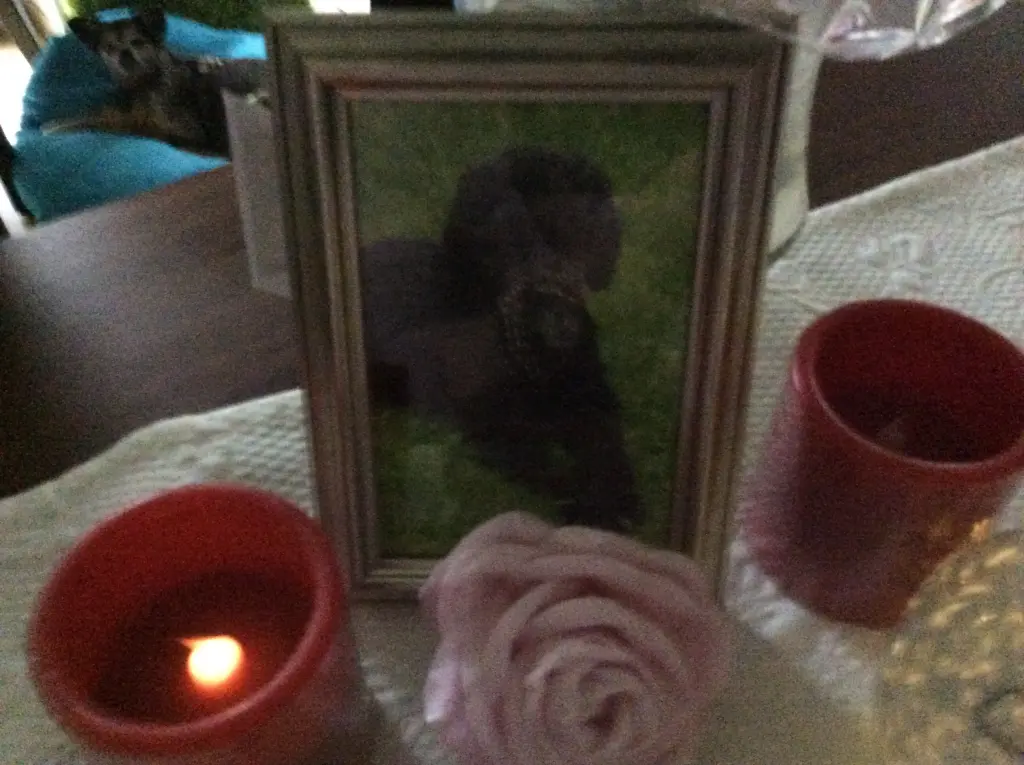 Condolence image of Heidi 