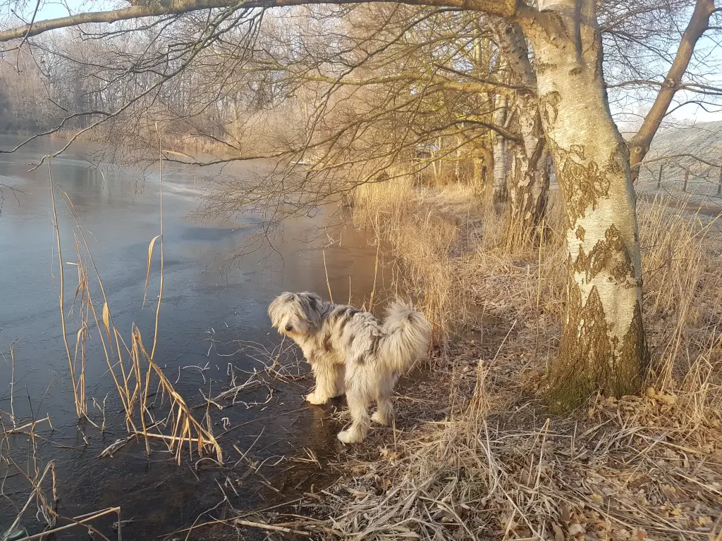 Condolence image of Thomas Gille