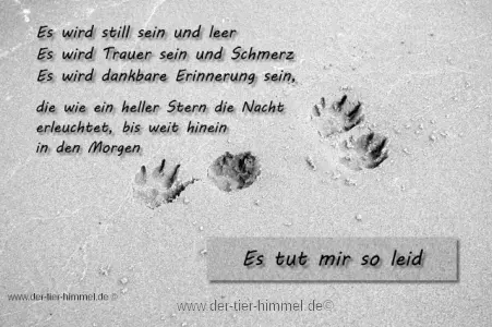 Andachtsbild von Paul mit "Seelenhund Spiky im Herzen"