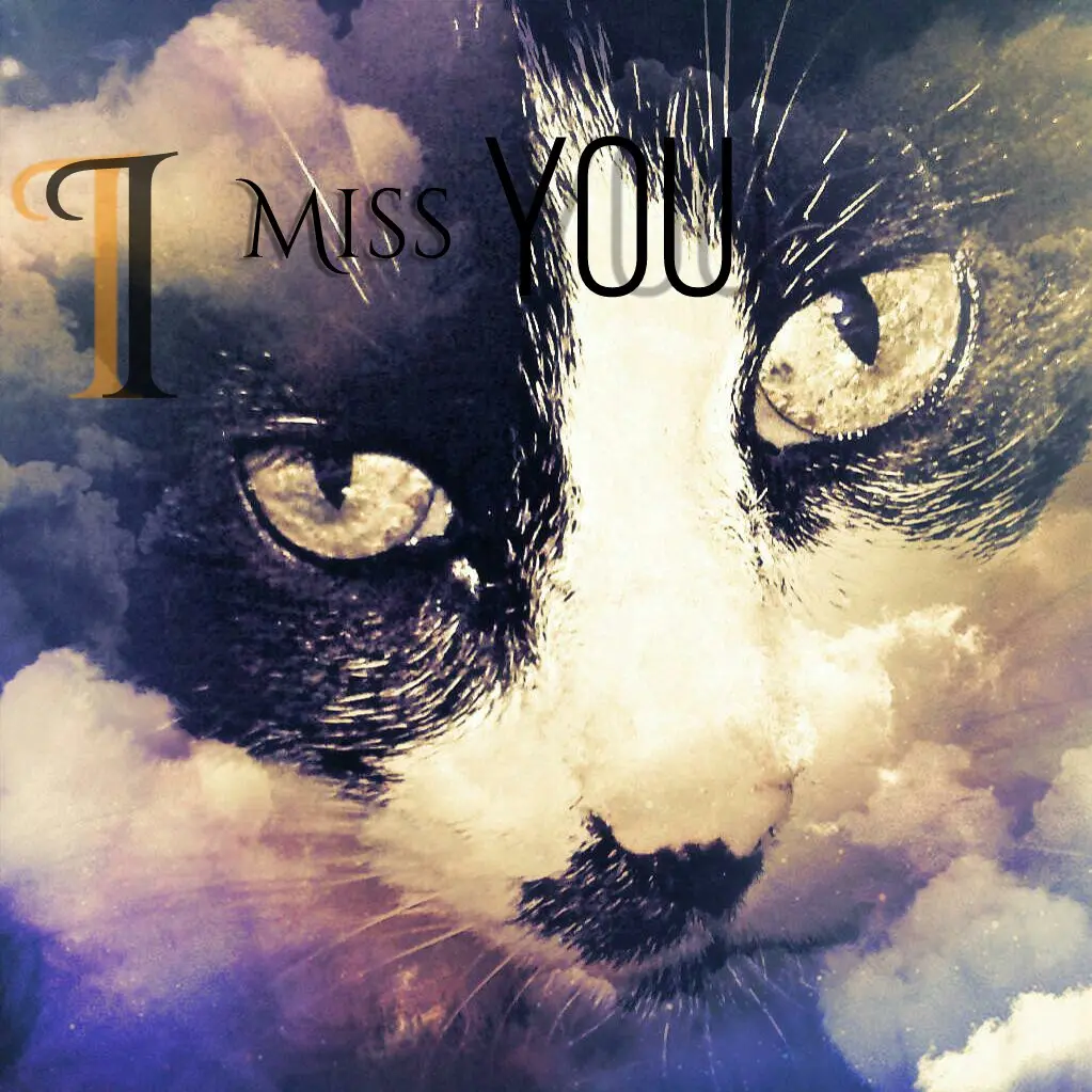 Condolence image of Jacqueline mit Jule und Nicki im Herzen