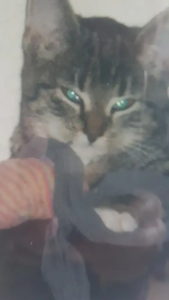 Andachtsbild von Tina m.Püppi im Herzen 