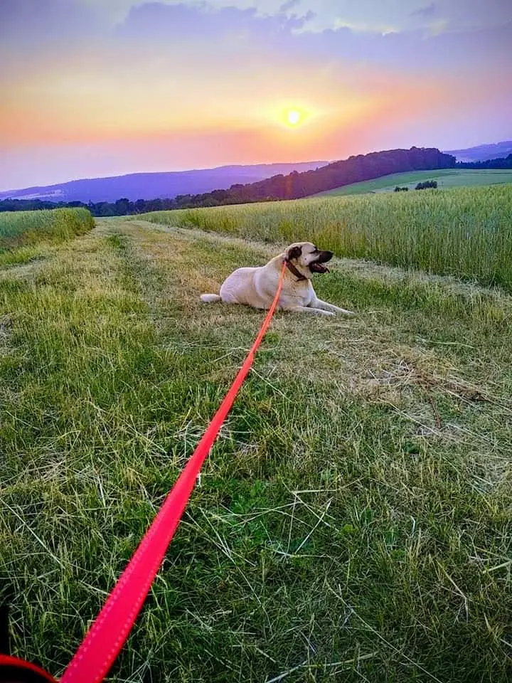 Andachtsbild von Yvonne  Kochhan 