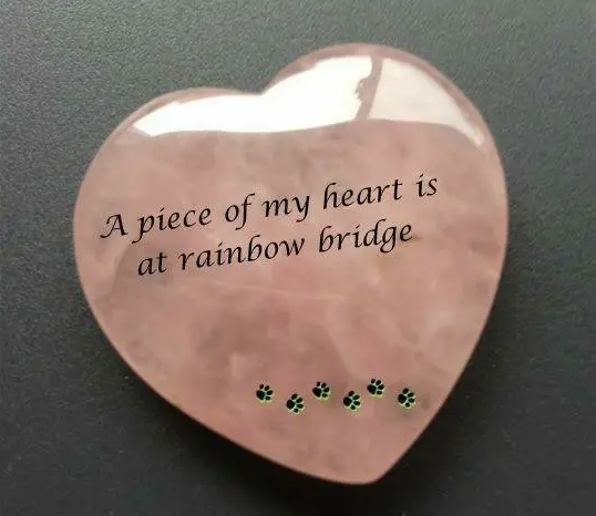 Condolence image of Frauchen