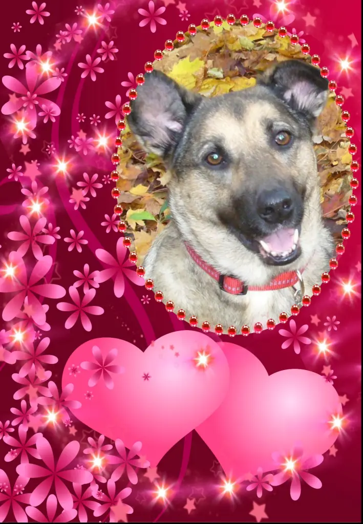 Condolence image of Fur Liebe Luna❤