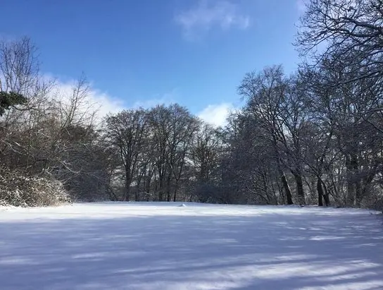 Condolence image of Unbekannt