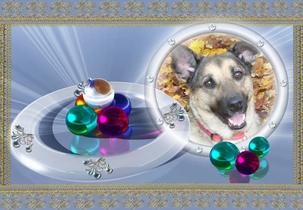 Condolence image of Klaudia mit Misiu❤❤❤Ganz Tief im Herzen❤