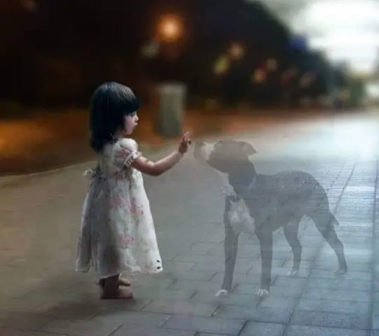 Condolence image of Gabe Witmer