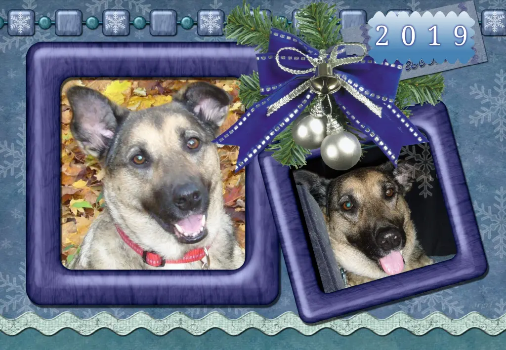 Condolence image of Klaudia mit Misiu❤❤❤Ganz Tief im Herzen❤