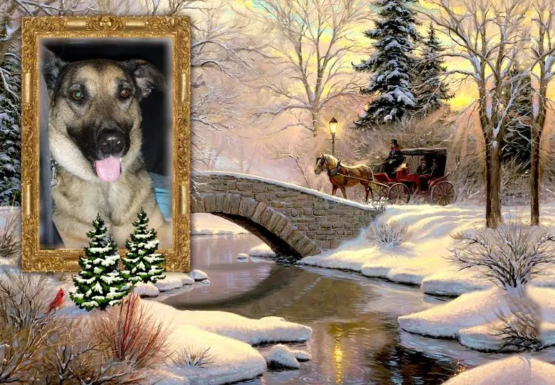 Condolence image of Unbekannt