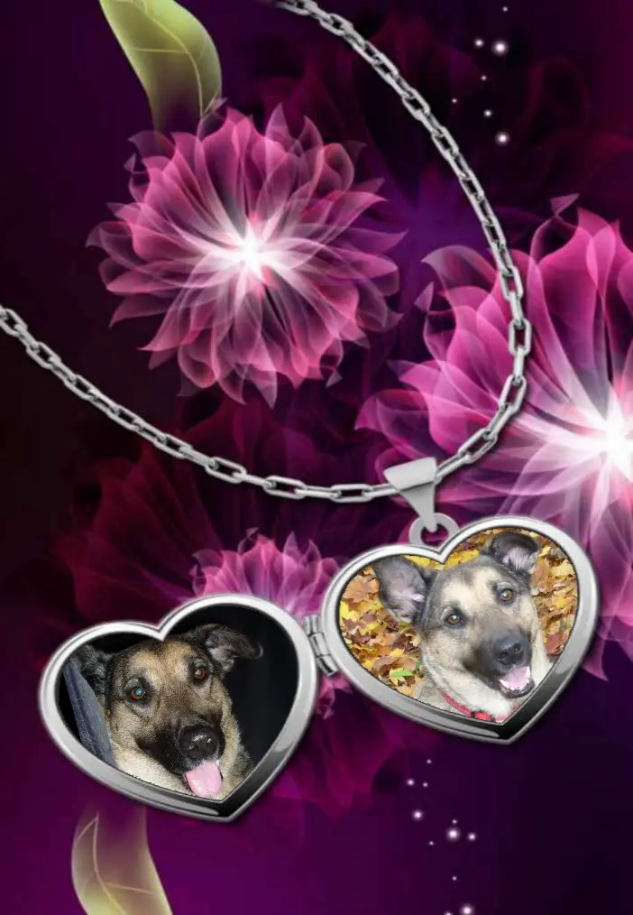 Condolence image of Klaudia mit Misiu❤❤❤Ganz Tief im Herzen❤