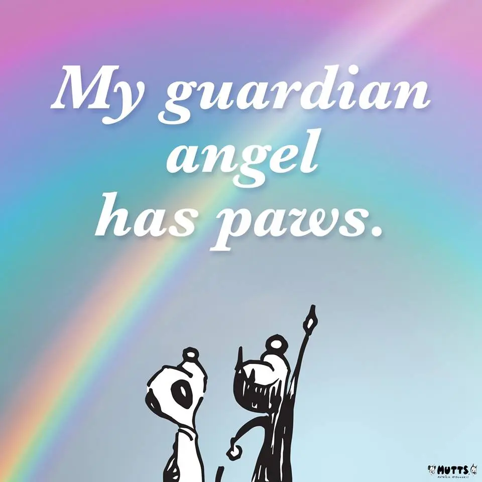 Condolence image of Unbekannt