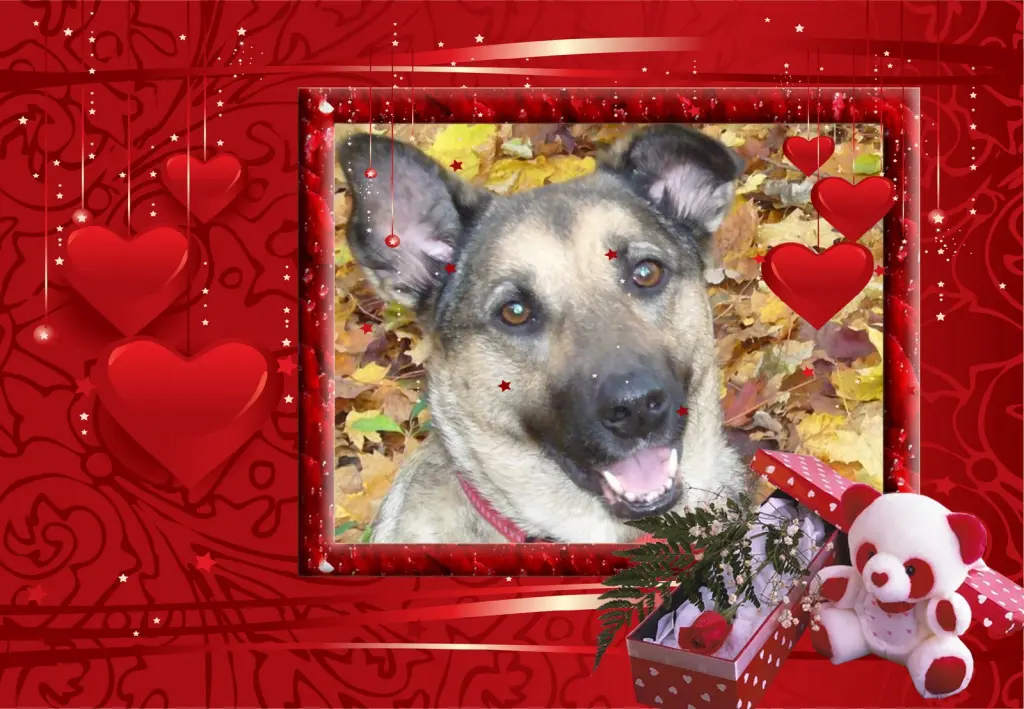 Condolence image of Zum Erste Todestag❤️