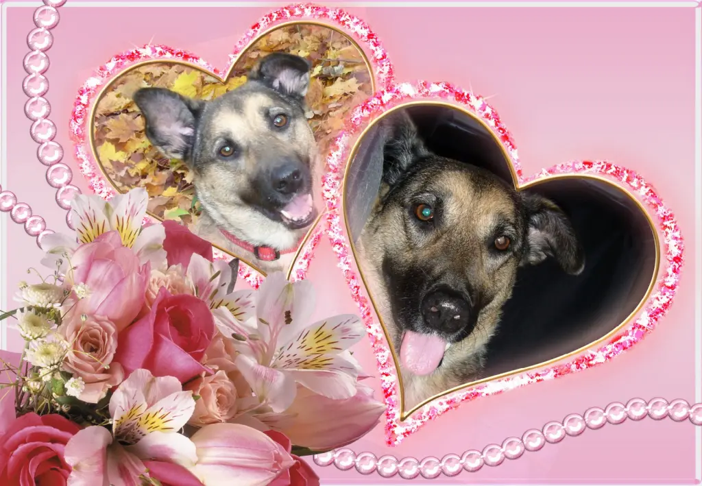 Condolence image of Fur Gabriele❤️