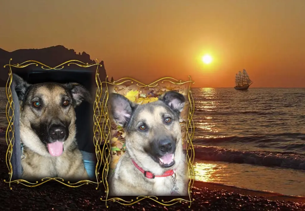 Condolence image of Gute Nacht❤️