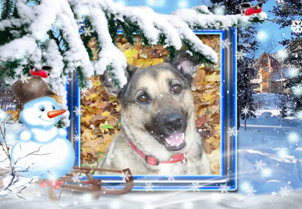 Condolence image of Guten Abend❤️