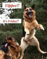 Condolence image of Brigitte mit Nelly, Benny und Axel im Herzen