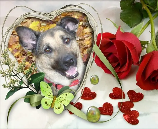 Condolence image of Unbekannt