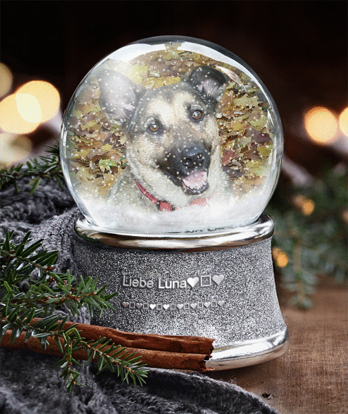 Condolence image of Liebe Luna❤️