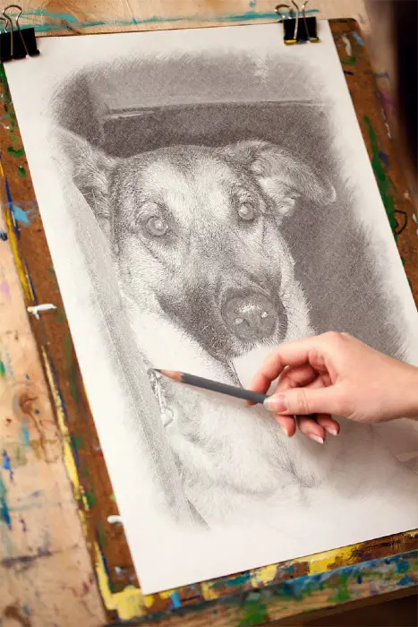 Condolence image of Guten Abend Liebe Luna❤️