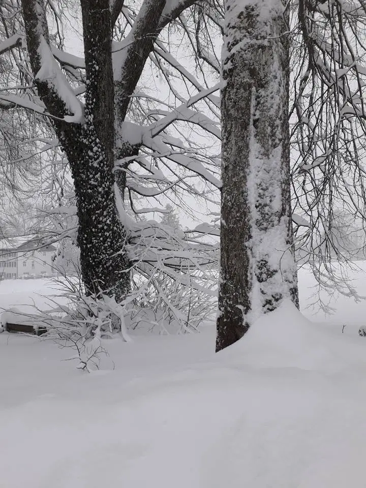 Condolence image of Unbekannt