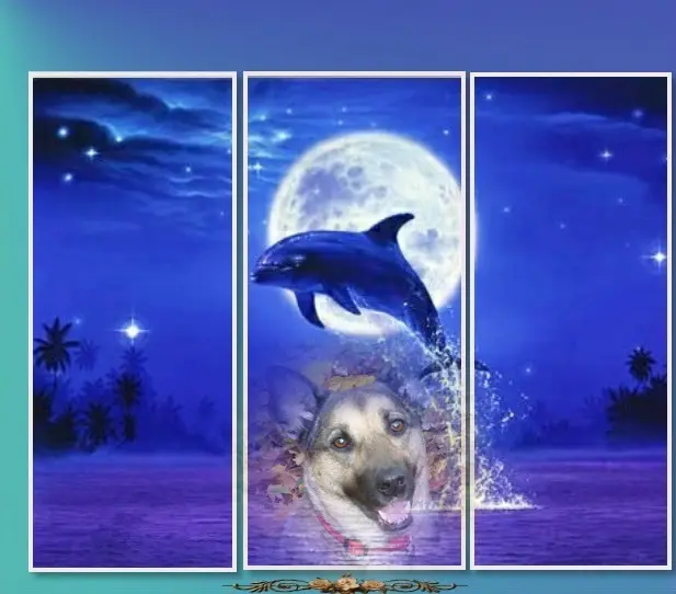 Condolence image of Guten Abend Liebe Luna❤️