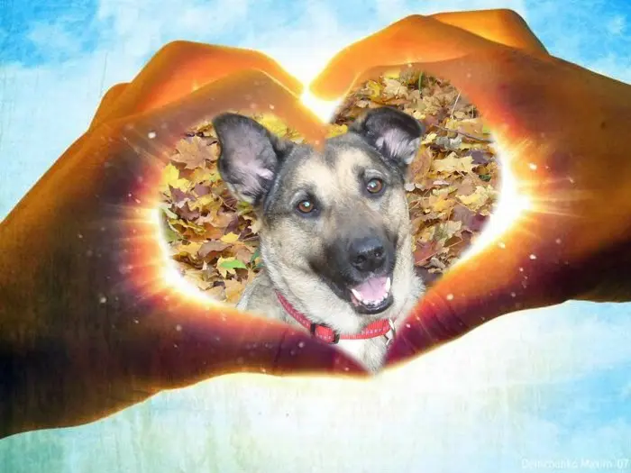 Condolence image of Guten Morgen❤️